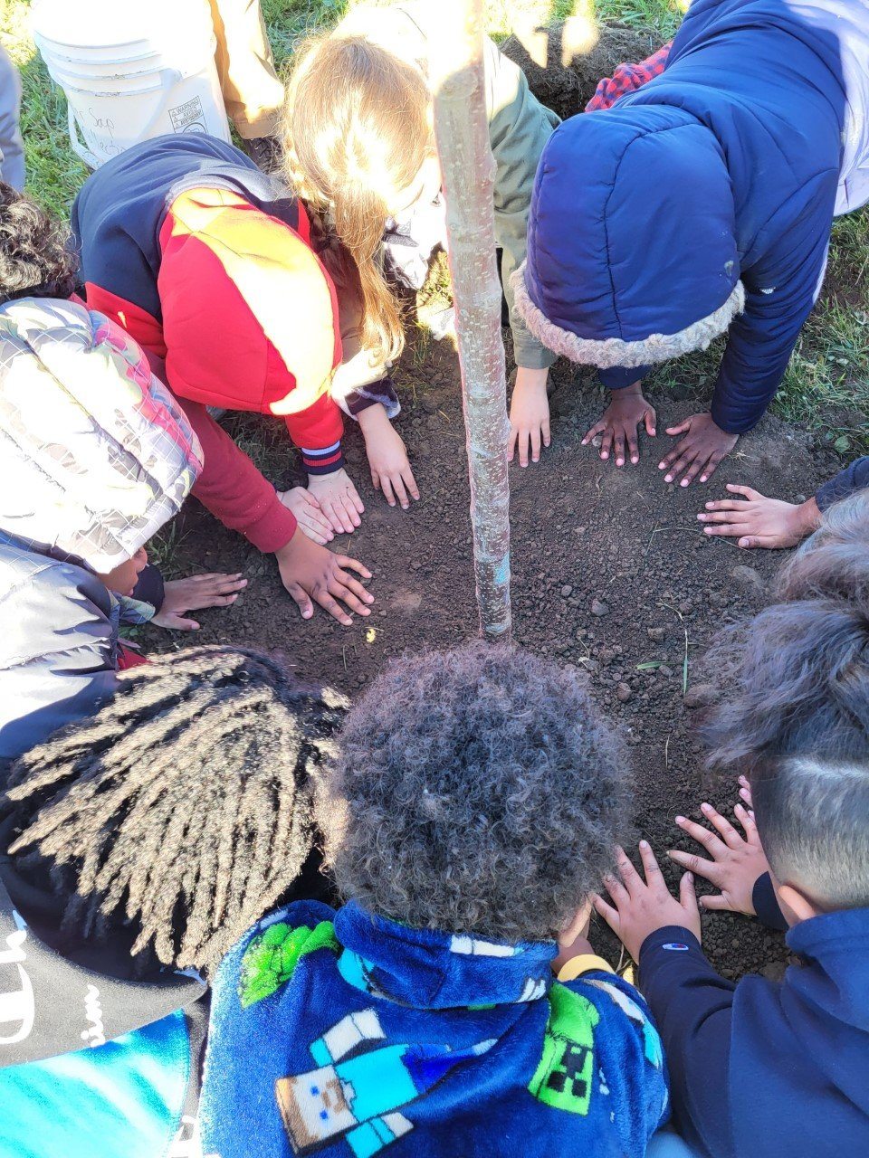 Uploaded Image: /vs-uploads/2023-blog-images/Zoller School Garden - Apple tree planting.jpg